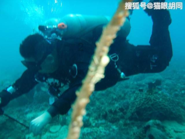 凌天之光最新版本游戏画面